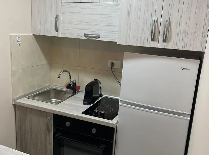 Stojanovic 1 즐라티보